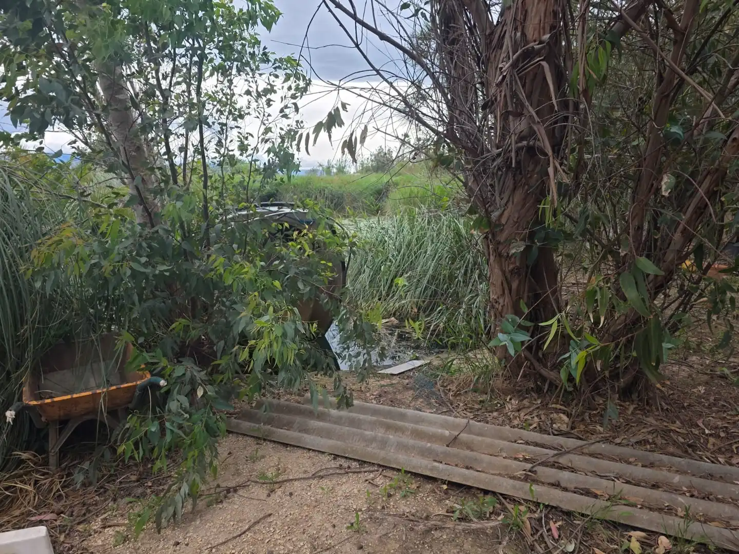 Terreno en venta en Amposta