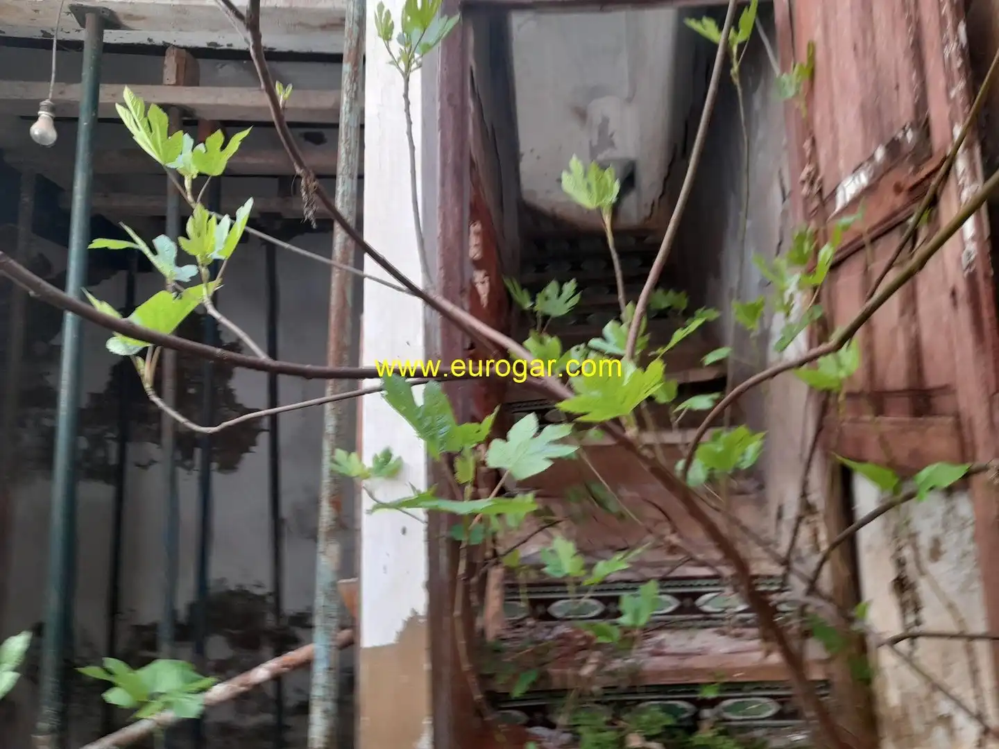 Casa en venda a Turís, imagen 6