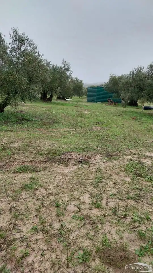 Land for sale in Monturque