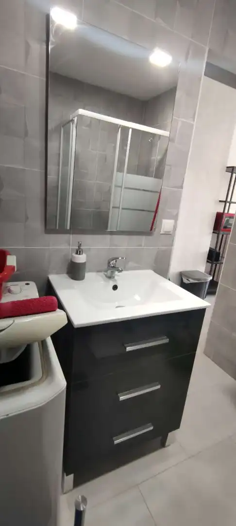 Bathroom of Study for rent in Torremolinos  with Furnished and Pets allowed