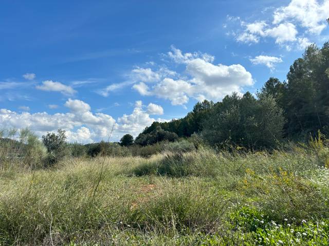 Terreno en Venta en Avinguda Mossèn Cinto Verdaguer, 41 en Móra la Nova