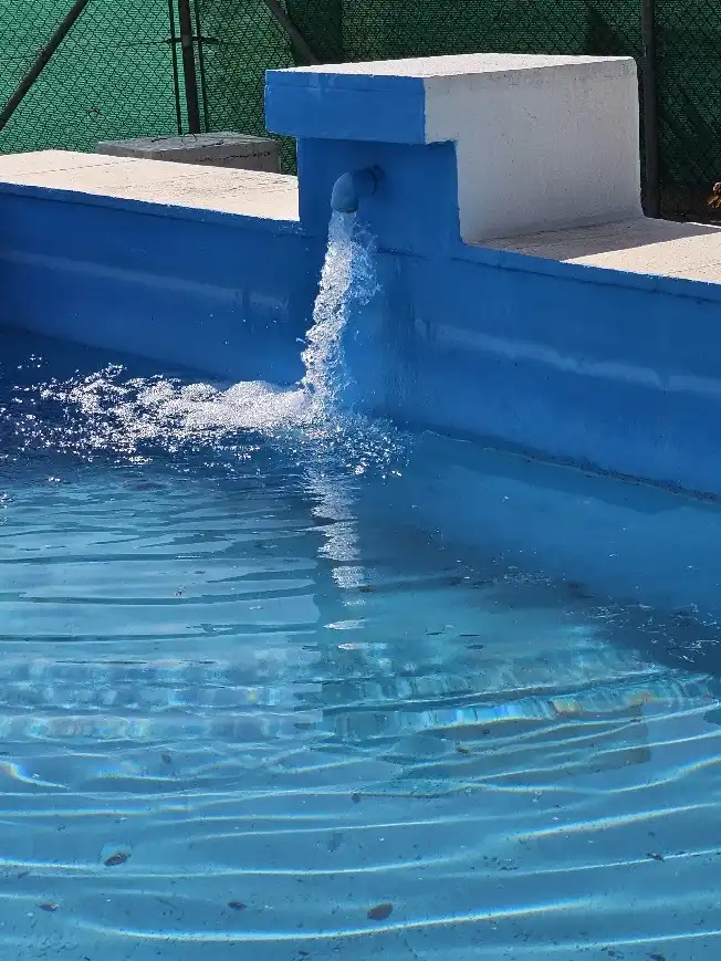 Casa rústica amb piscina en venda a Xàtiva, imagen 21