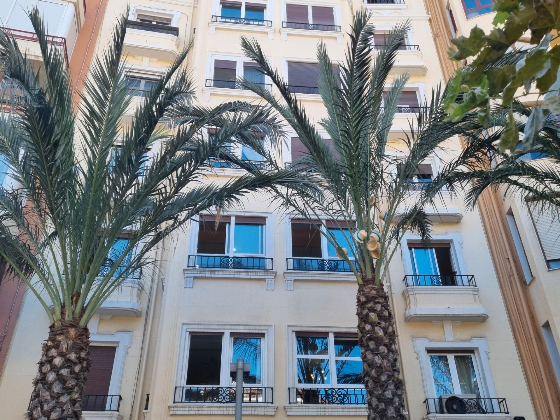 Vista exterior de Pis en venda en Alicante / Alacant amb Balcó