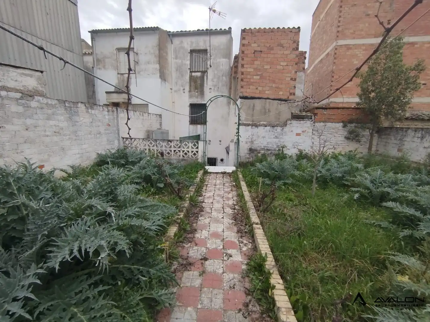 Jardín de Casa o chalet en venta en Torreperogil con Jardín privado y Terraza