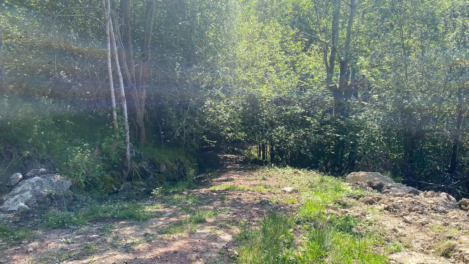 Terreno rustico in vendita a SEGÜENCO, imagen 10