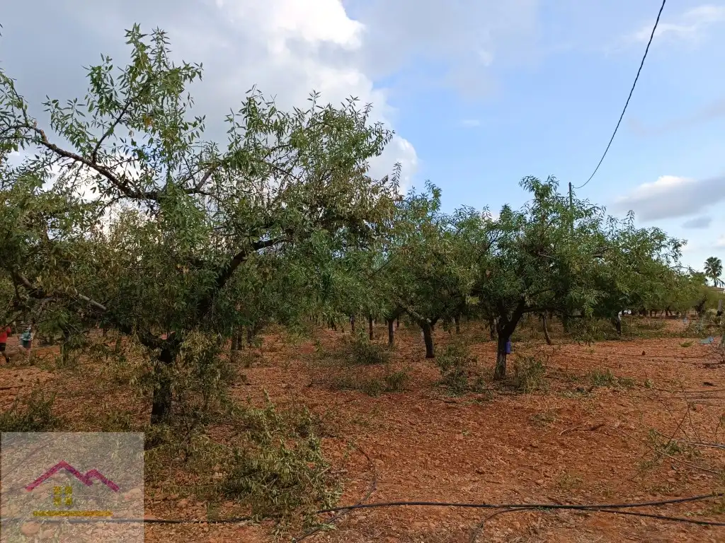 Finca rústica en venda a Calle Oropesa, 14, Torreblanca