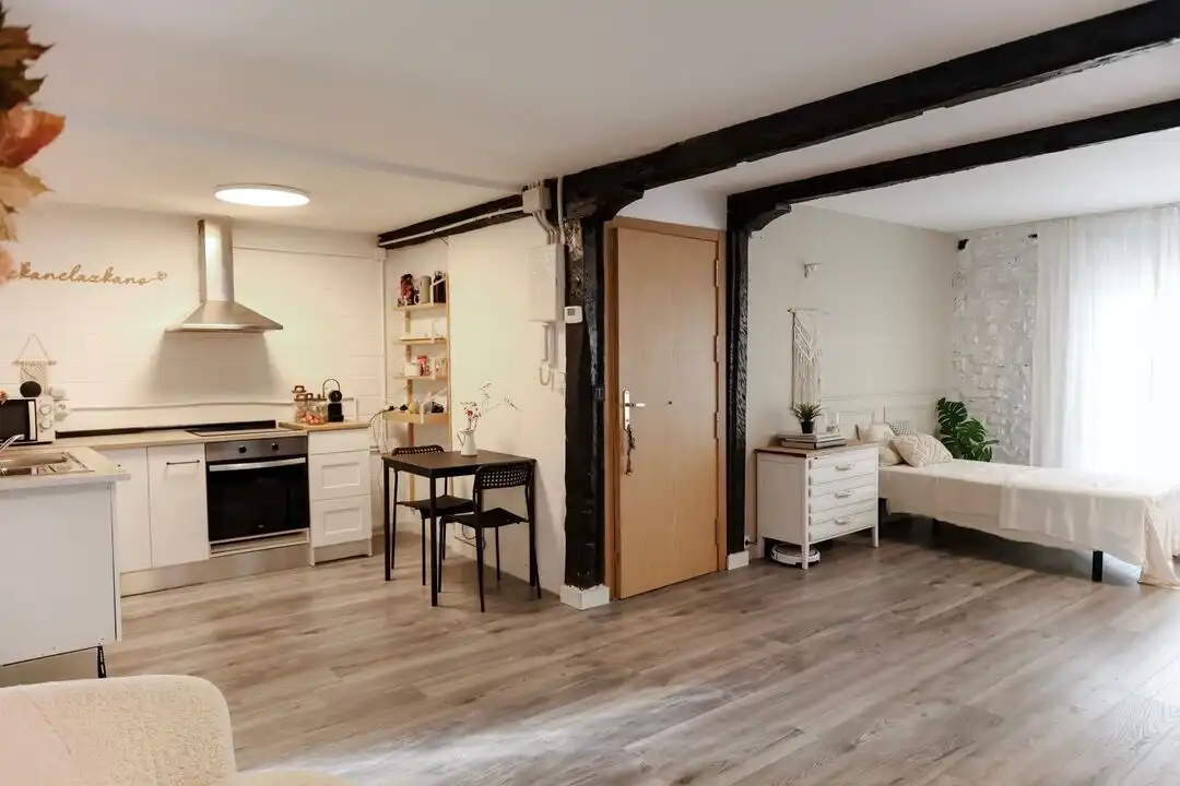 Appartamento con terrazza in vendita a Bergara, imagen 2