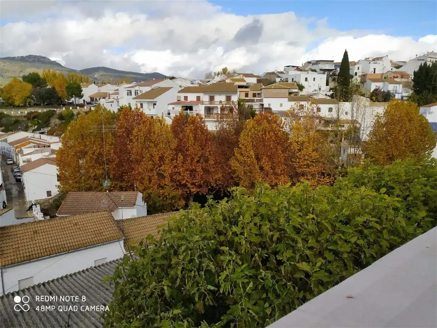 Vista exterior de Casa adosada en venda en Arriate amb Aire condicionat, Piscina i Moblat