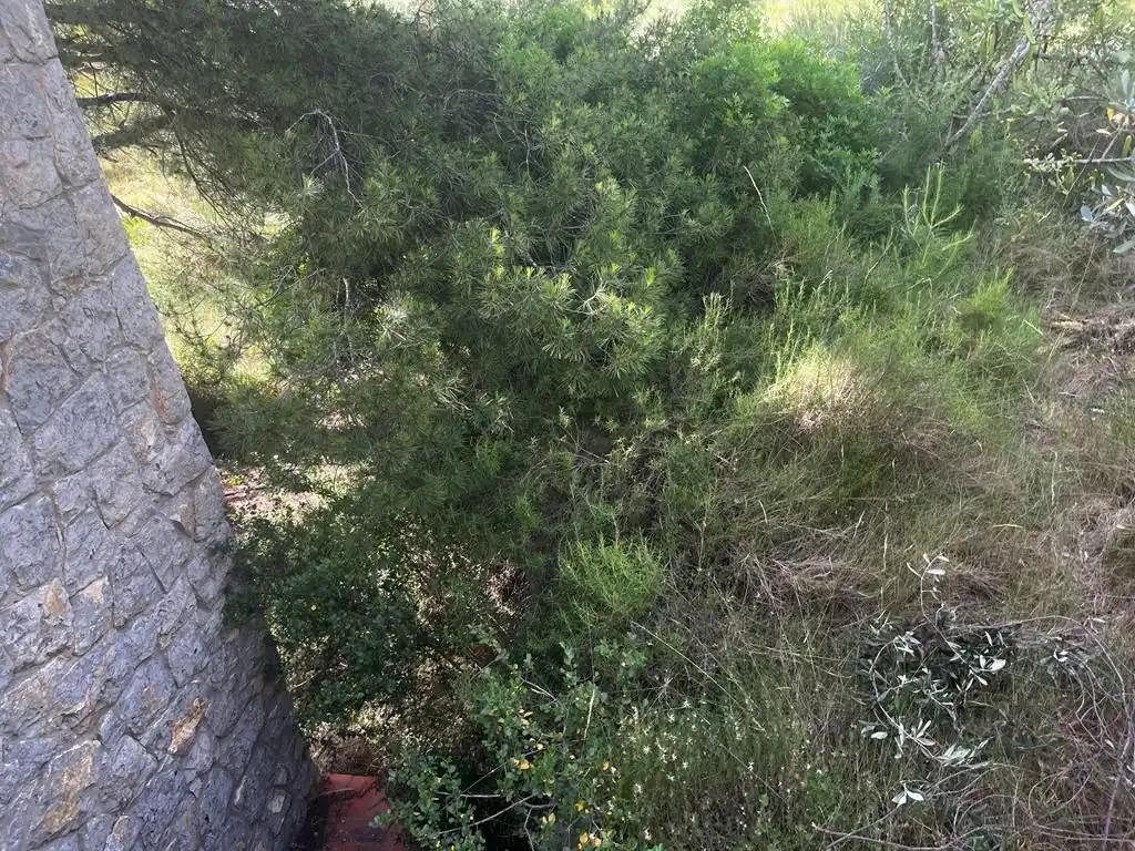 Casa o xalet en venda en Castellón de la Plana / Castelló de la Plana amb Terrassa