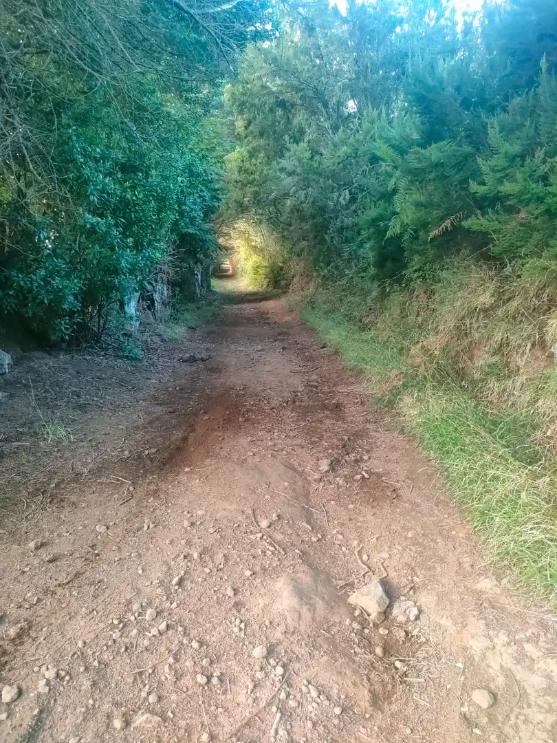 Terreny rústic en venda a El Sauzal, imagen 8