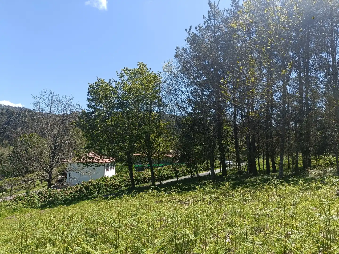 Terreni e lotti in vendita a Burricios, imagen 9