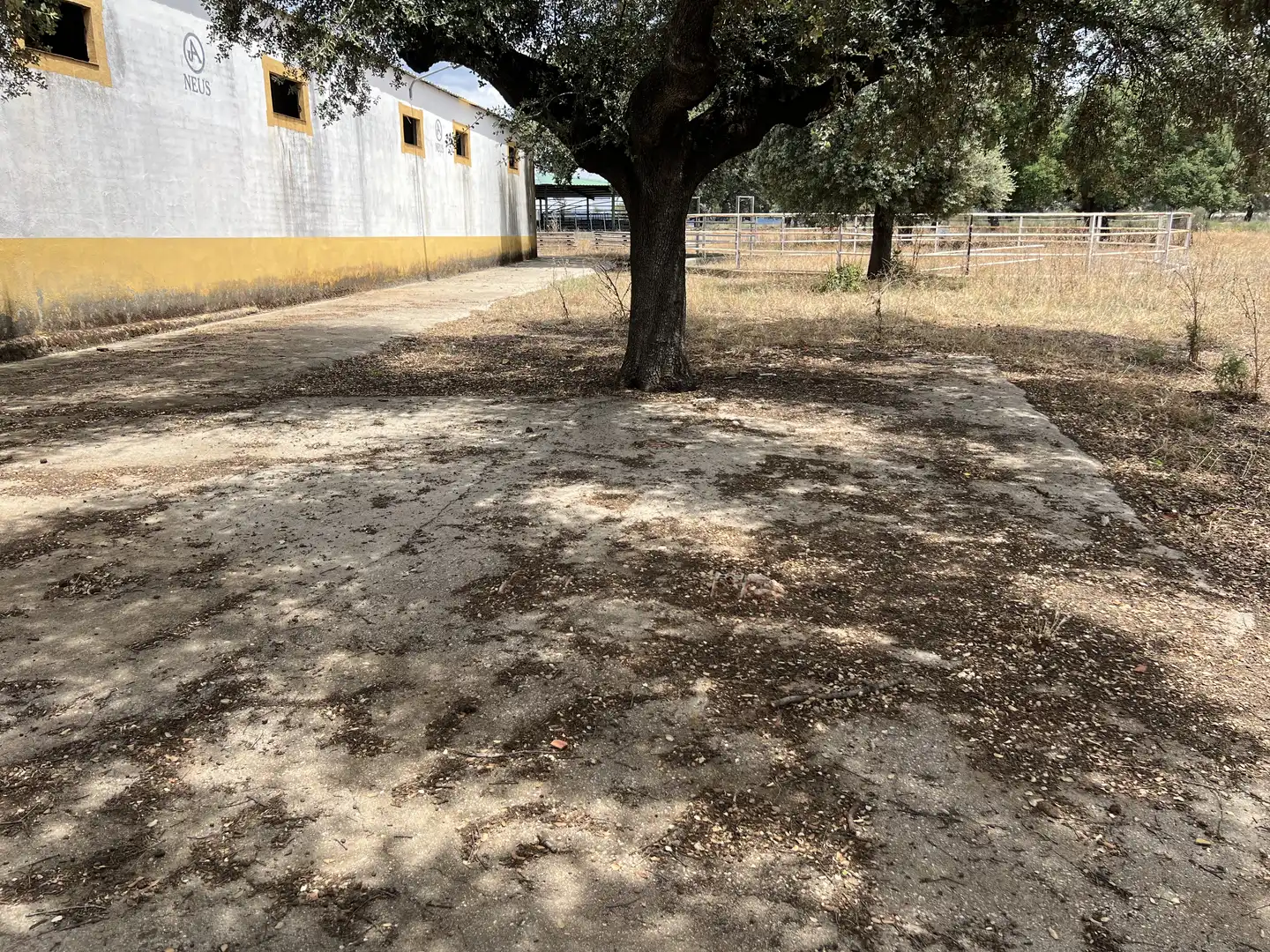 Land for sale in Calle Hernán Cortés, 20, Jaraicejo