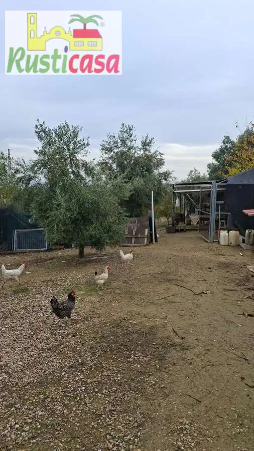 Terreni e lotti in vendita a Sevilleja, imagen 7