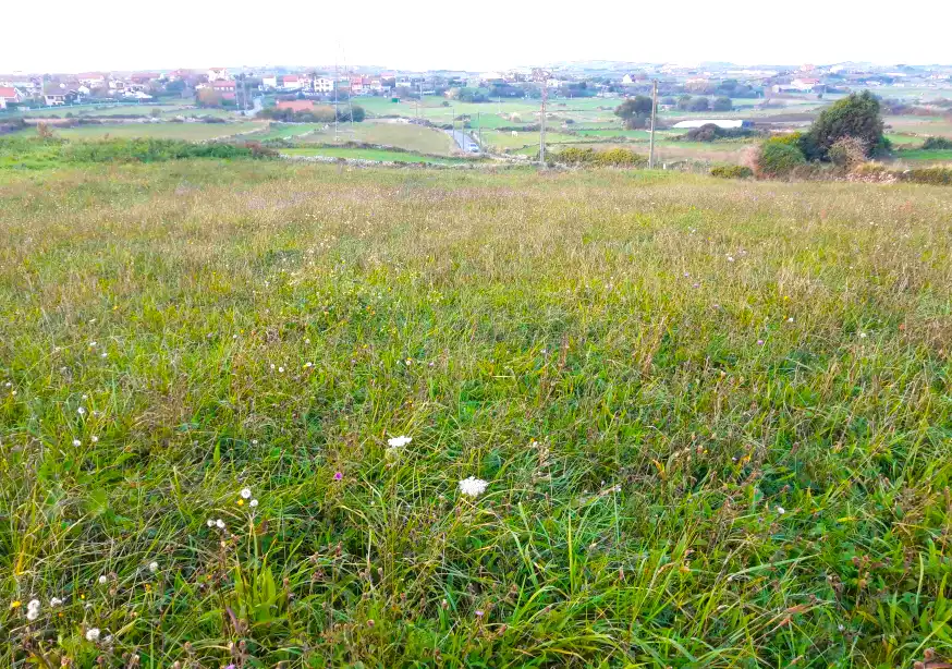 Residential land for sale in BOLADO, imagen 4