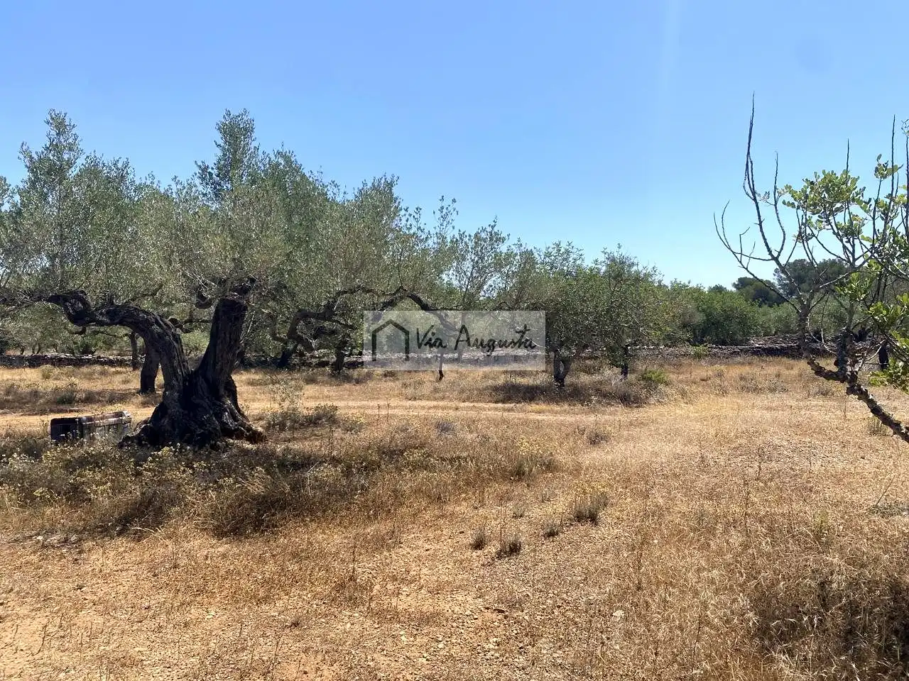 Terreno rustico in vendita a Bordes, imagen 13