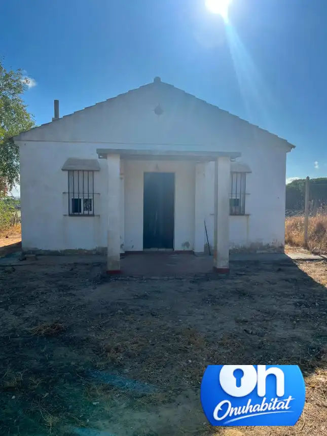 Vista exterior de Casa o chalet en venta en Moguer con Jardín privado y Amueblado