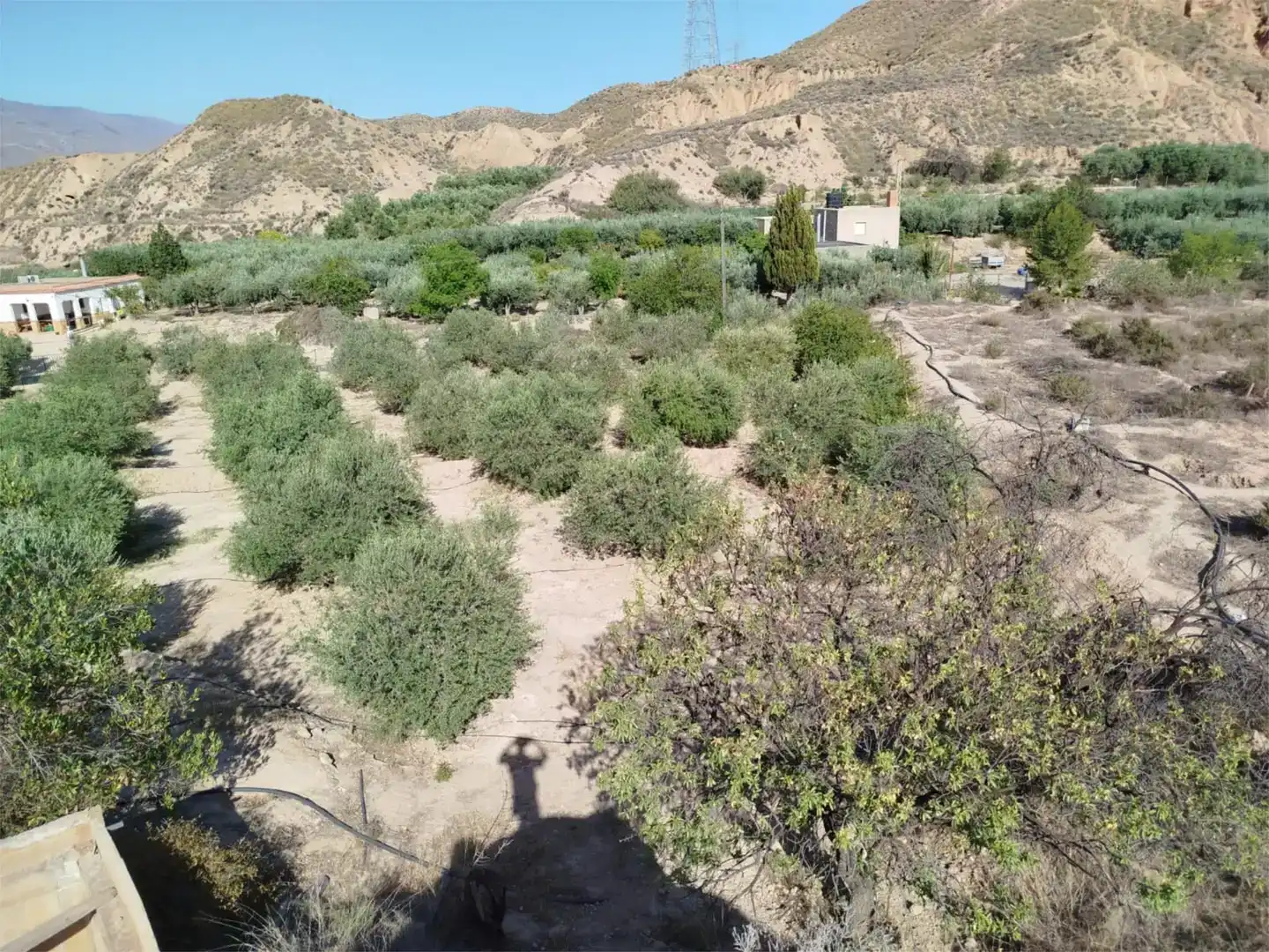Finca rústica en venda en Gádor