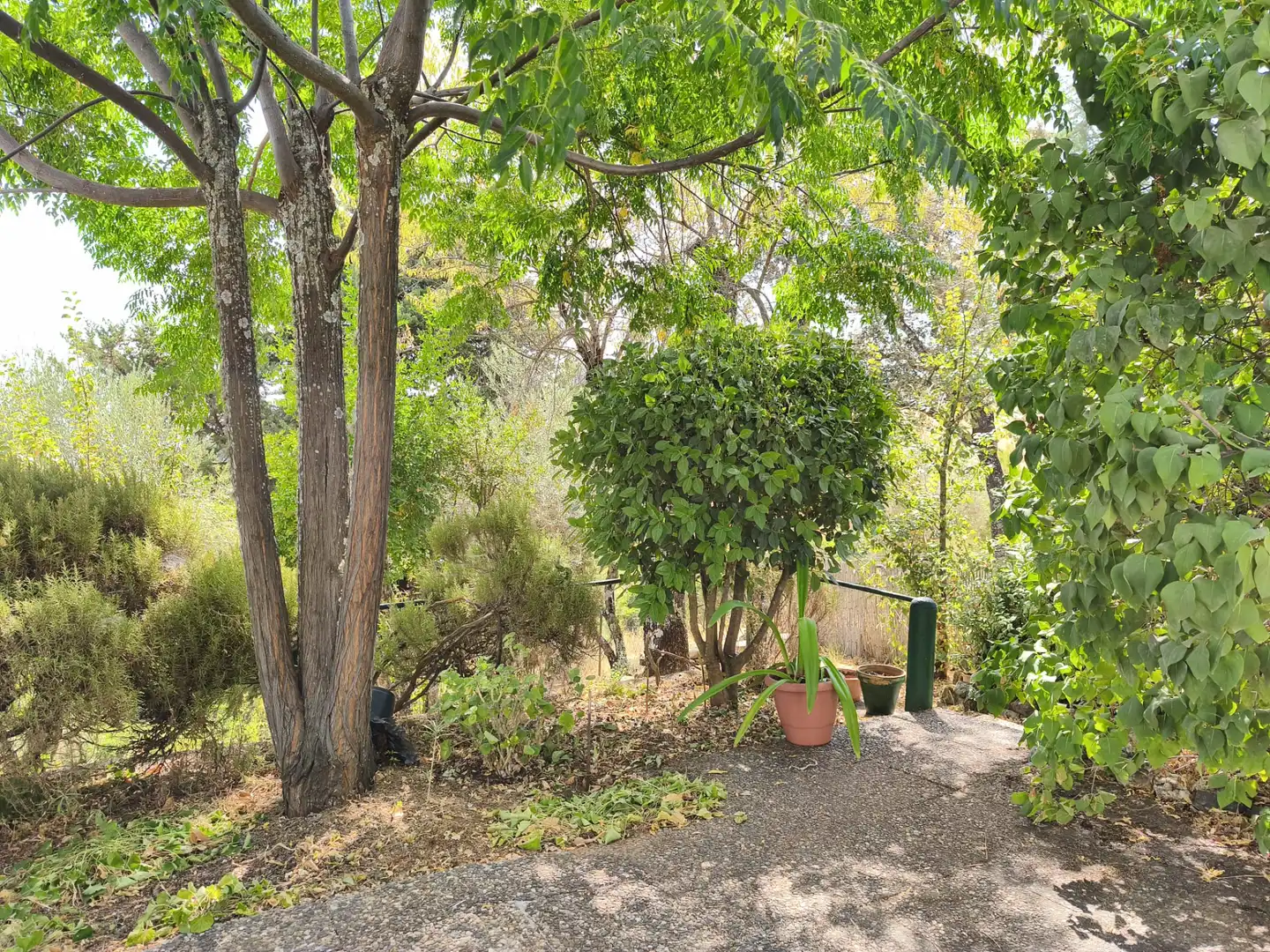 Casa rústica amb jardí en venda a Cazalla de la Sierra, imagen 31