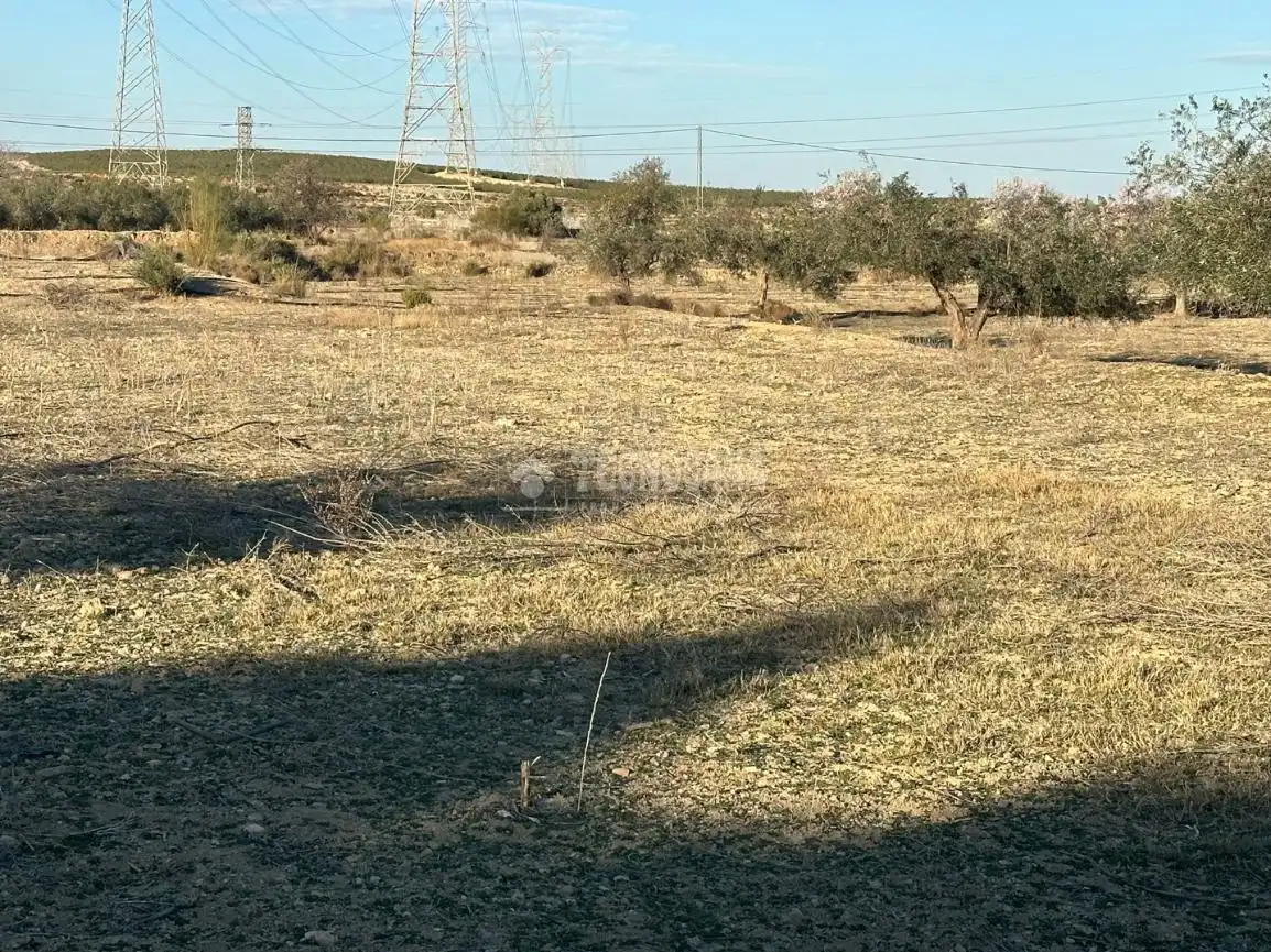Terrenys i solars en venda a Calle Algarraz, imagen 16