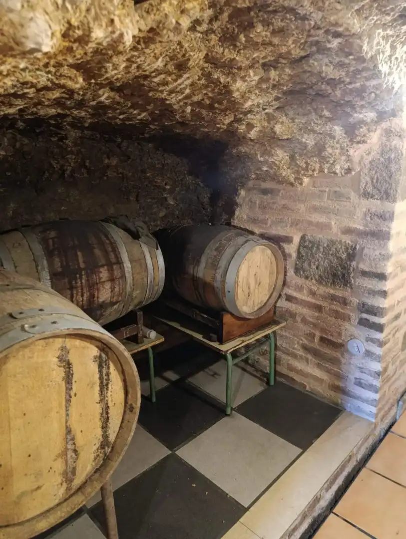 Local en venda en San Andrés del Rabanedo amb Terrassa