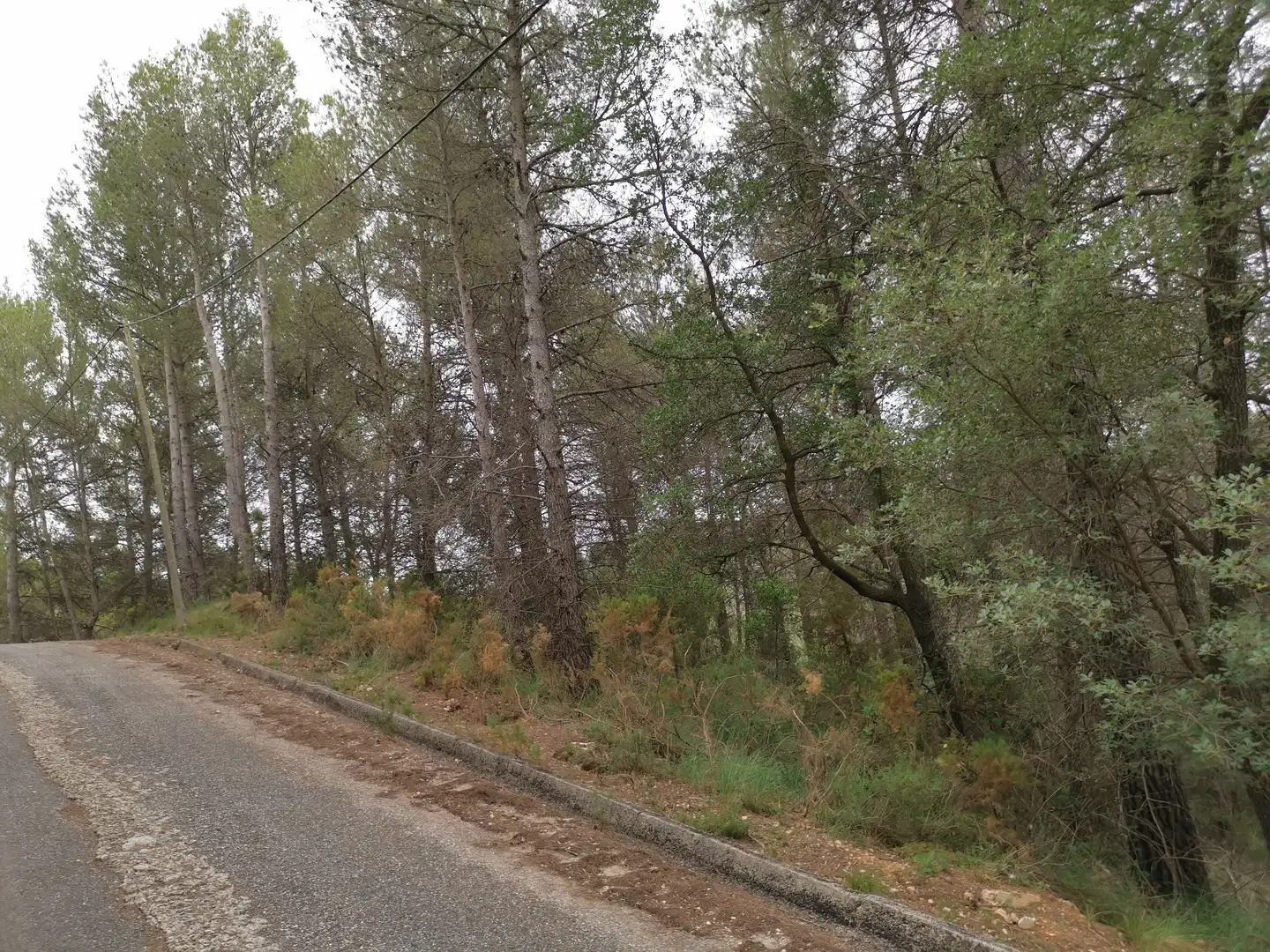 Terreny residencial en venda a El Montmell, imagen 15