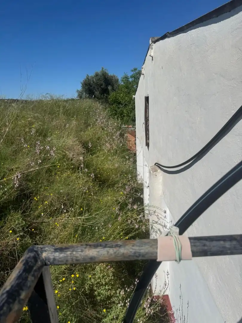 Maison rustique avec piscine à vendre à Albaida, imagen 13