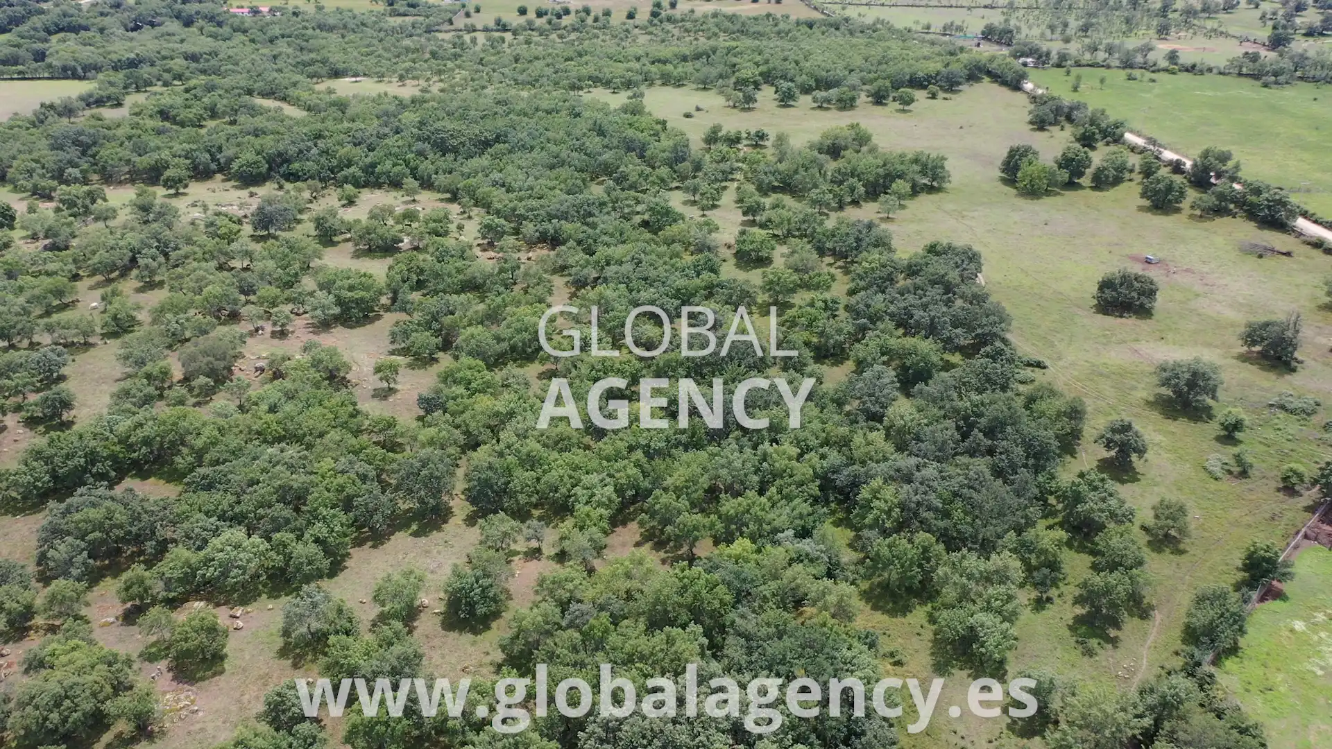 Rural land for sale in Soto del Real