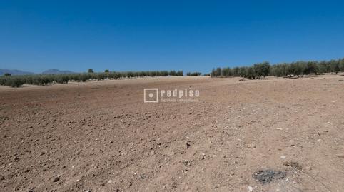 Foto 5 de Terreny industrial en venda a Poligono 44, Centro, Málaga