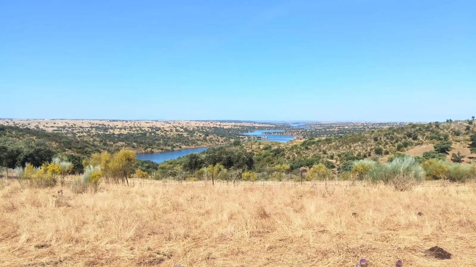 Grundstücke zum Verkauf in Villanueva del Fresno