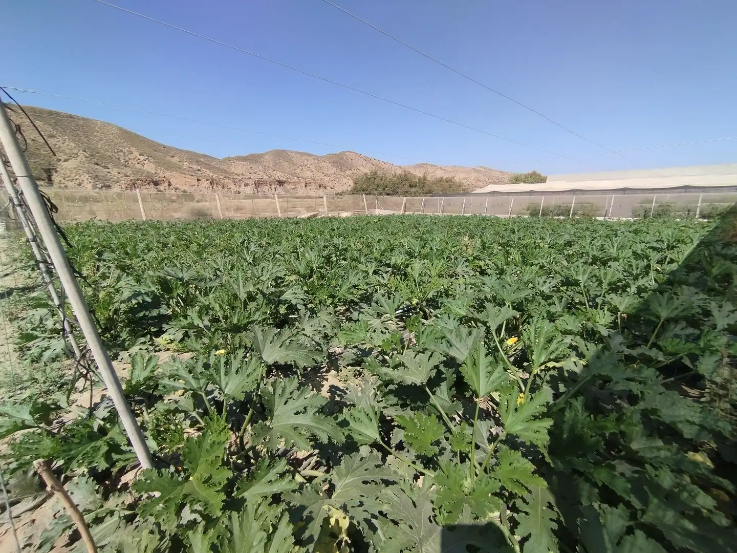 Terreno rustico in vendita a Santa Fe de Mondújar, imagen 28