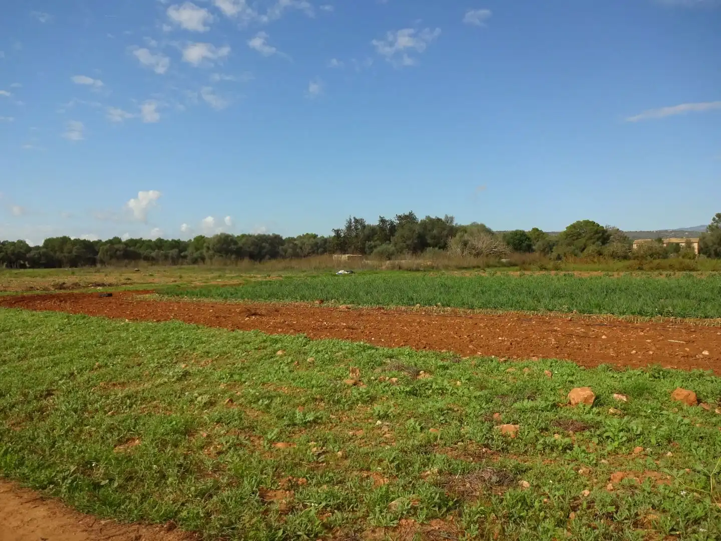 Finca rústica en venta en  Palma de Mallorca