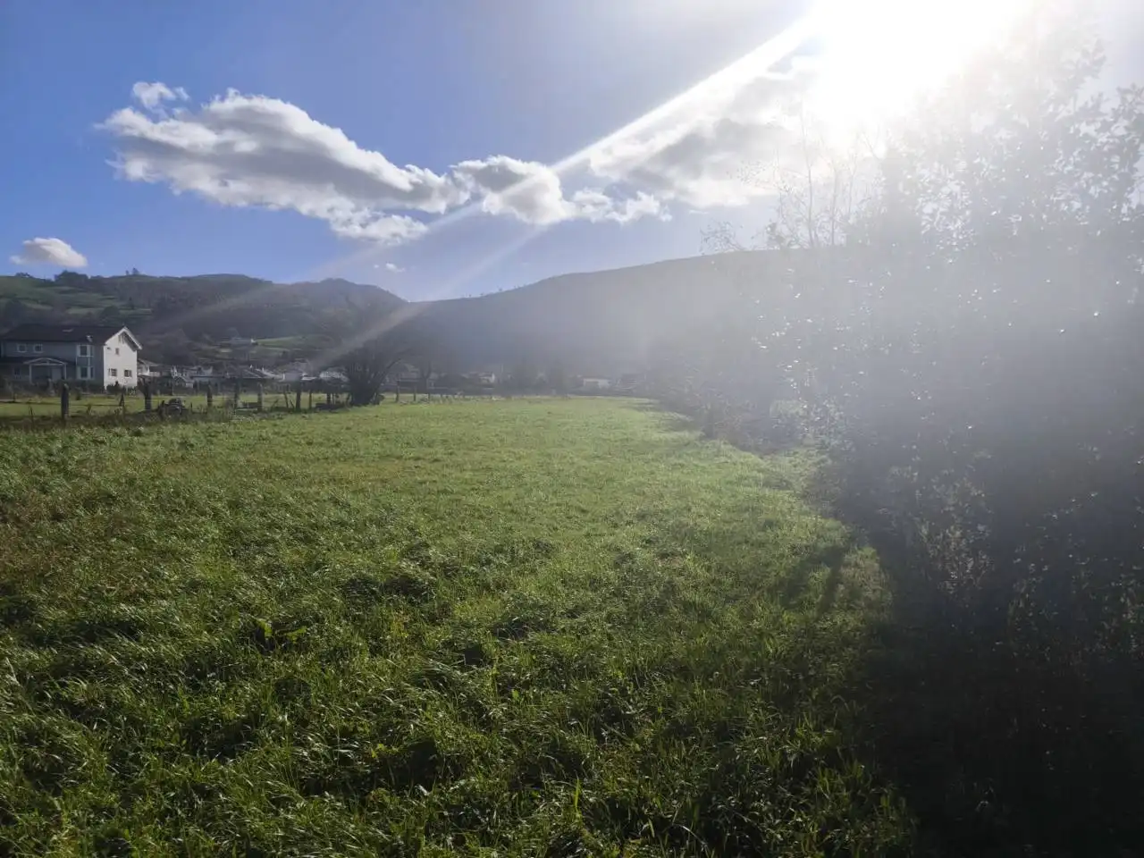 Terrain rustique à vendre à ARGOMILLA, imagen 5