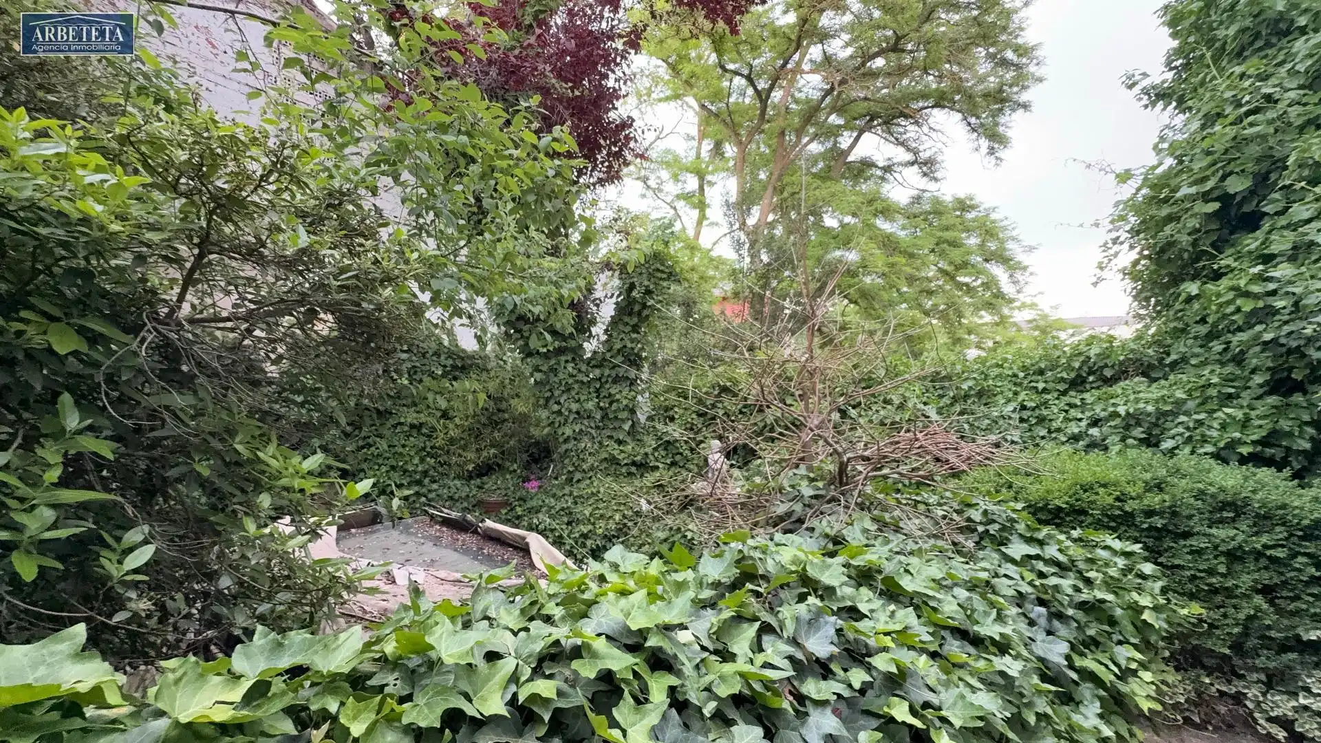 Garden of Country homes for sale in Alcocer  with Private garden and Terrace