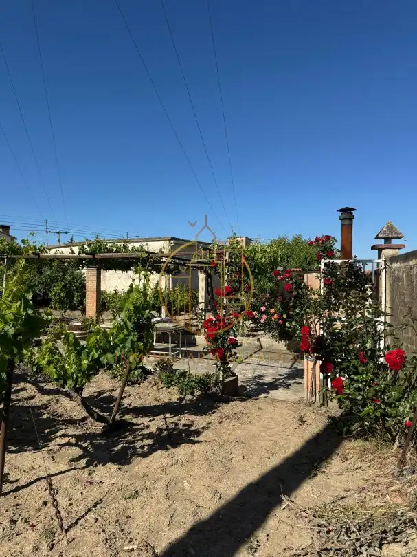Jardín de Terreno en venta en Santacara