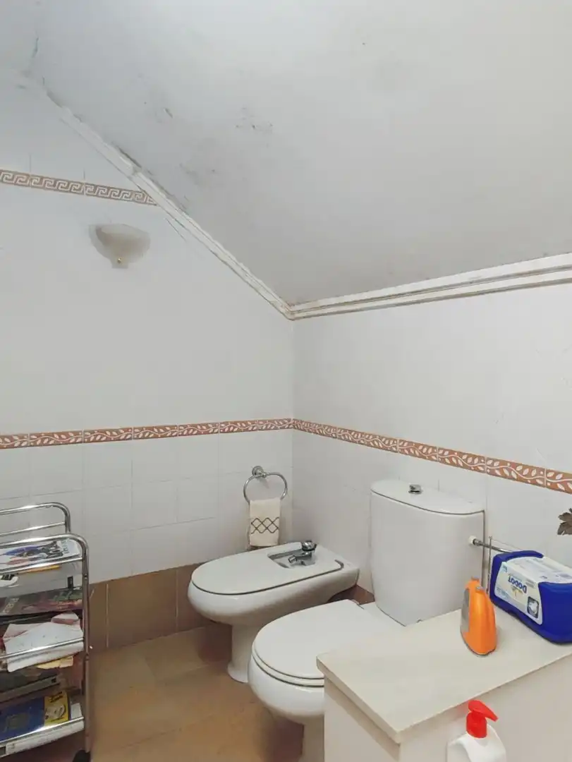 Villa avec jardin à vendre à Calle París, imagen 83