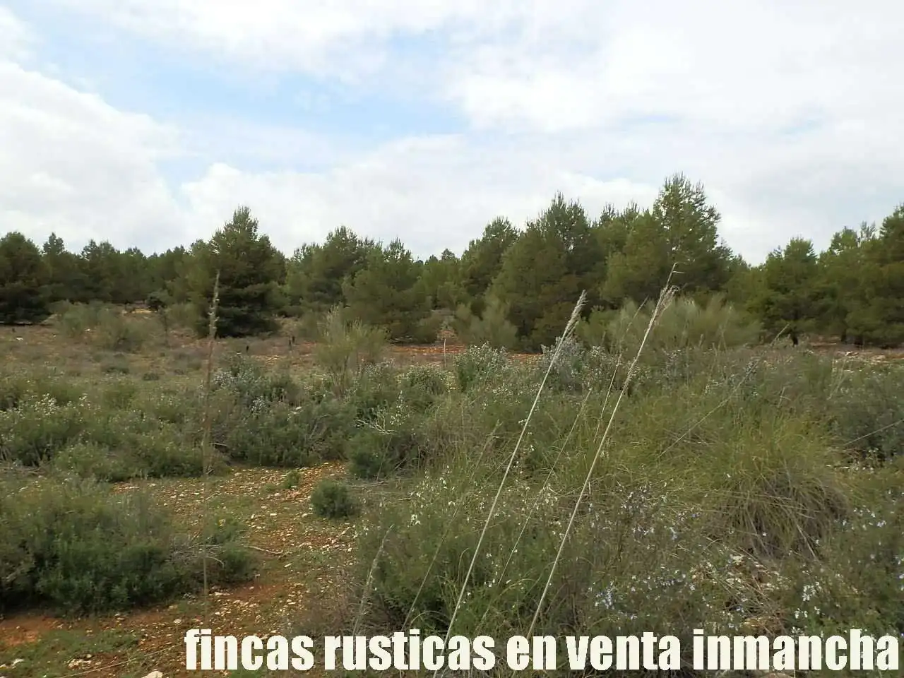 Terreni e lotti in vendita a Villarrobledo, imagen 5