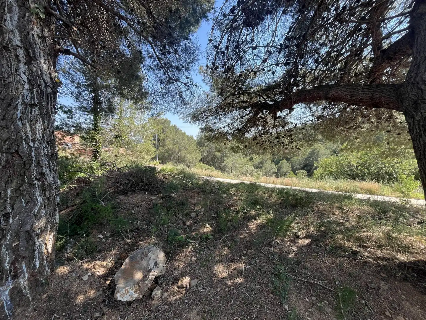 Terreno residencial en venta en Vilaplana, imagen 19