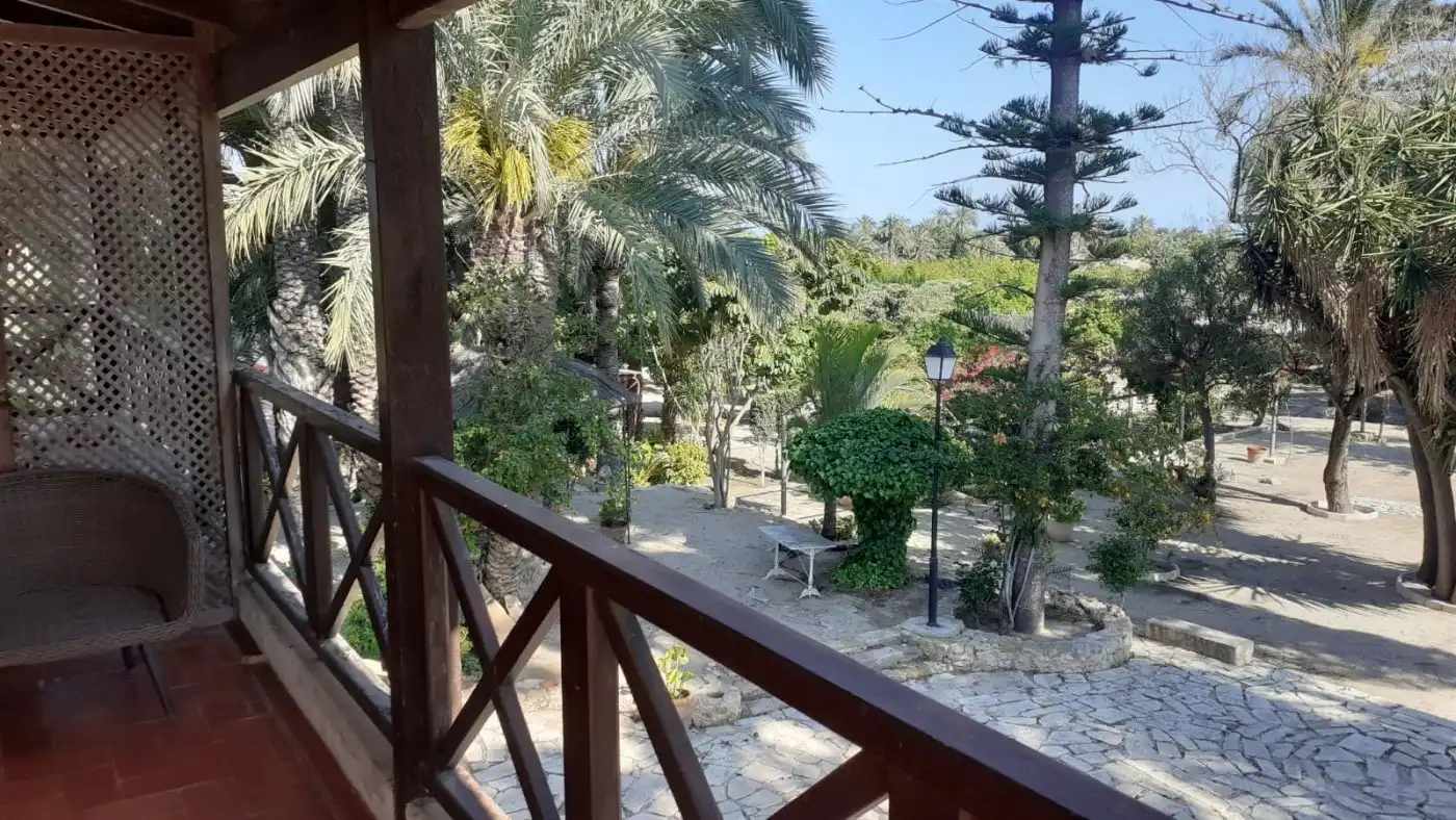 Jardí de Casa o xalet en venda en Elche / Elx amb Aire condicionat, Jardí privat i Terrassa