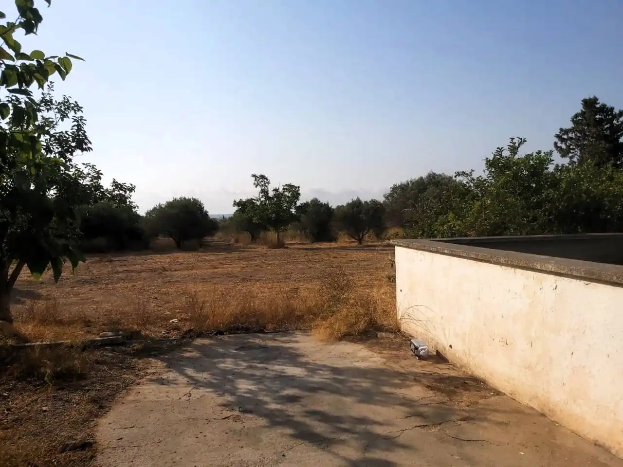 Finca rústica en venta en Valls