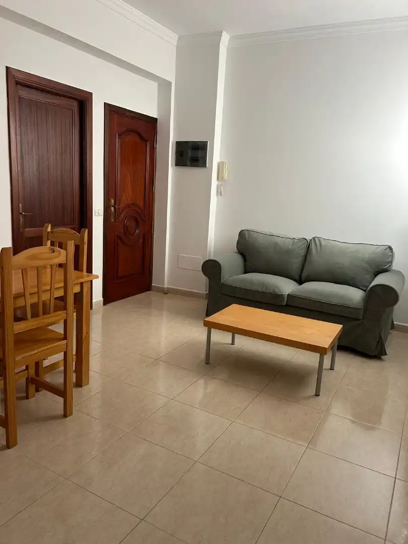 Sala de estar de Piso de alquiler en Las Palmas de Gran Canaria con Amueblado y Balcón