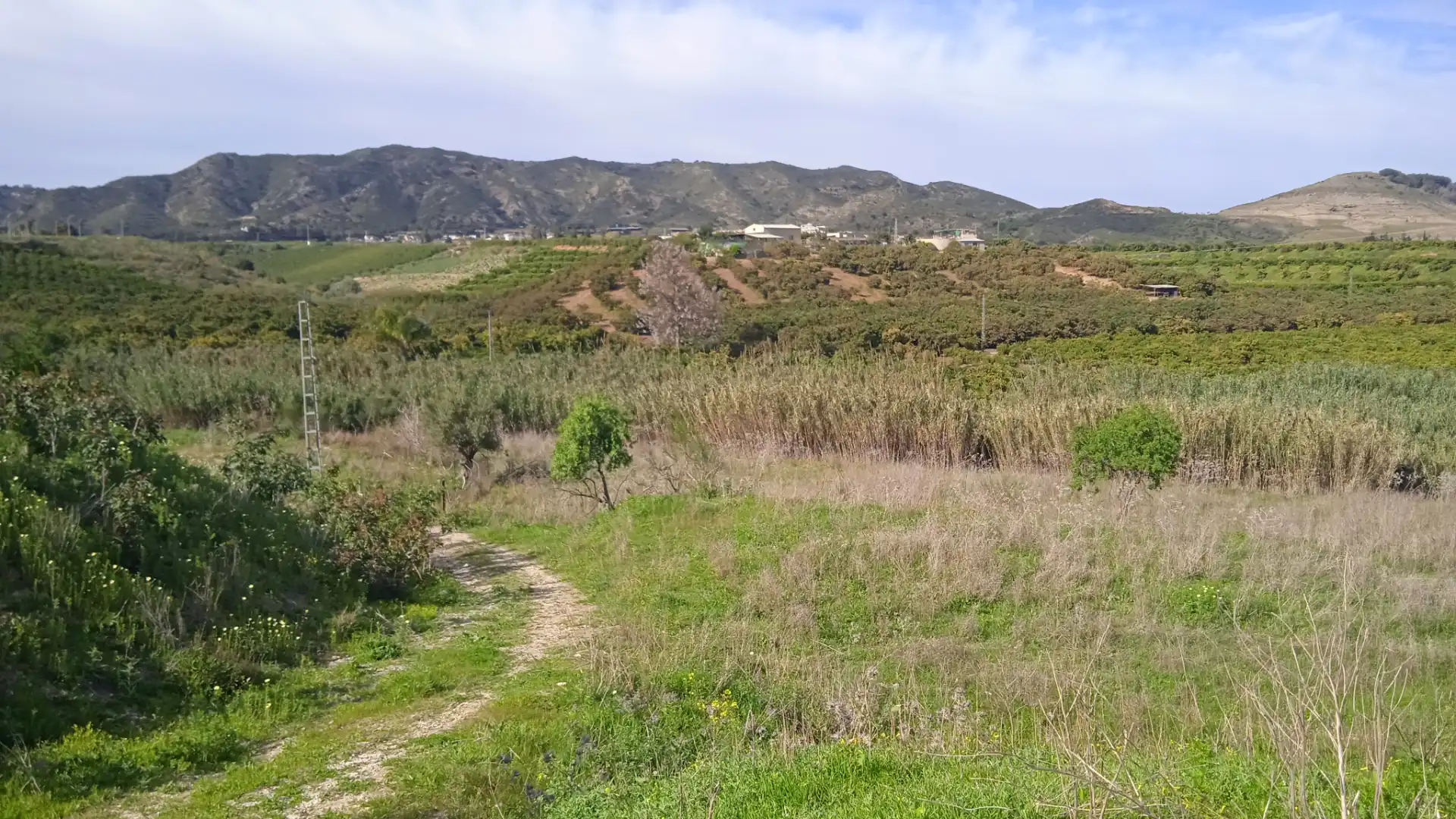 Rustikales Grundstück zum Verkauf in Camino Cuesta del Palmar 34, imagen 14