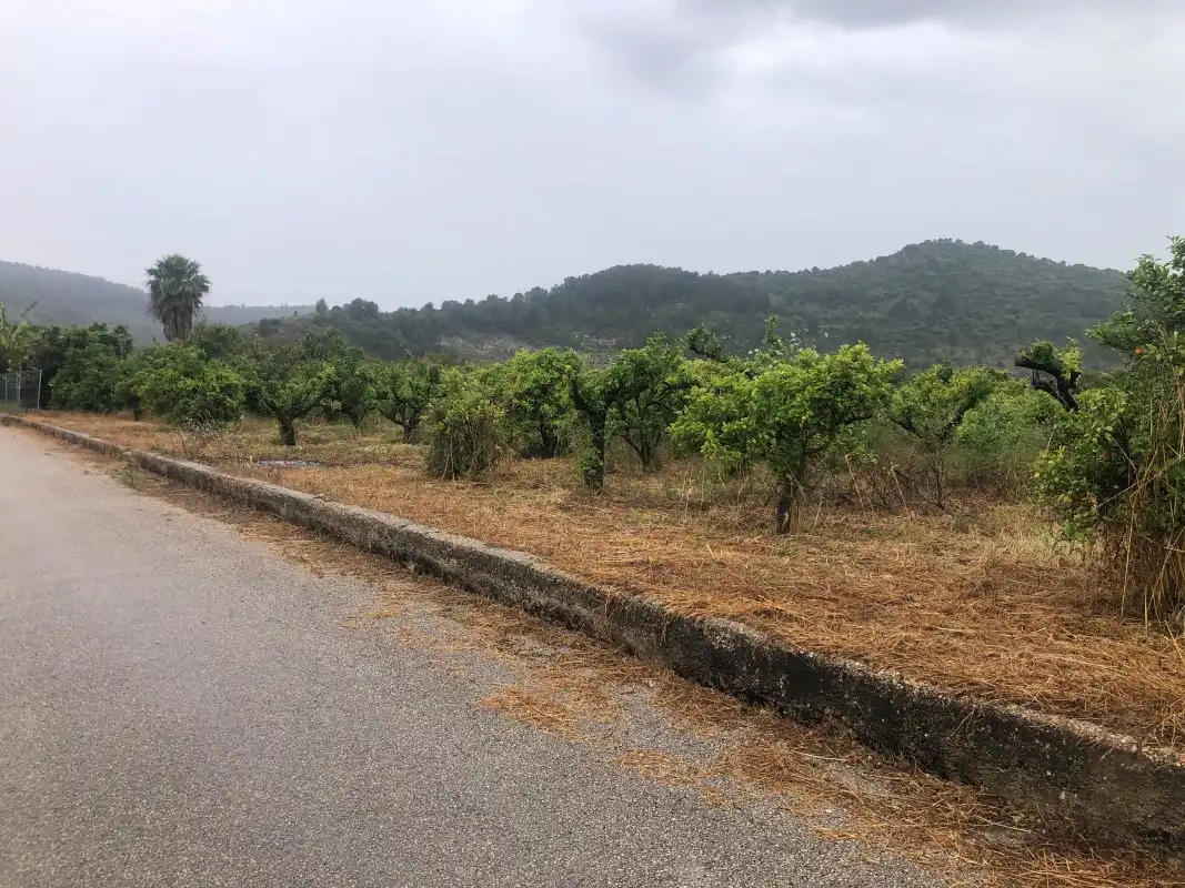 Terreny rústic en venda a Castelló de Rugat, imagen 10