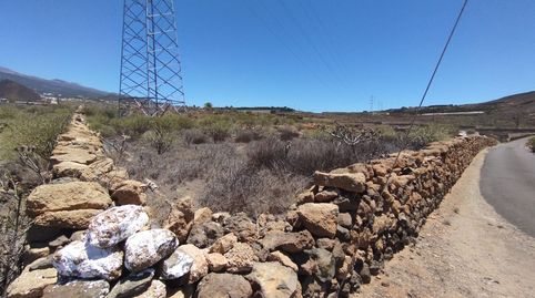 Photo 3 of Land for sale in Charco del Pino, Granadilla de Abona