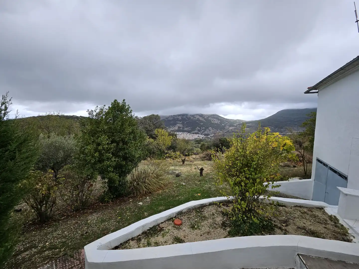 Jardín de Finca rústica en venta en Torres con Jardín privado