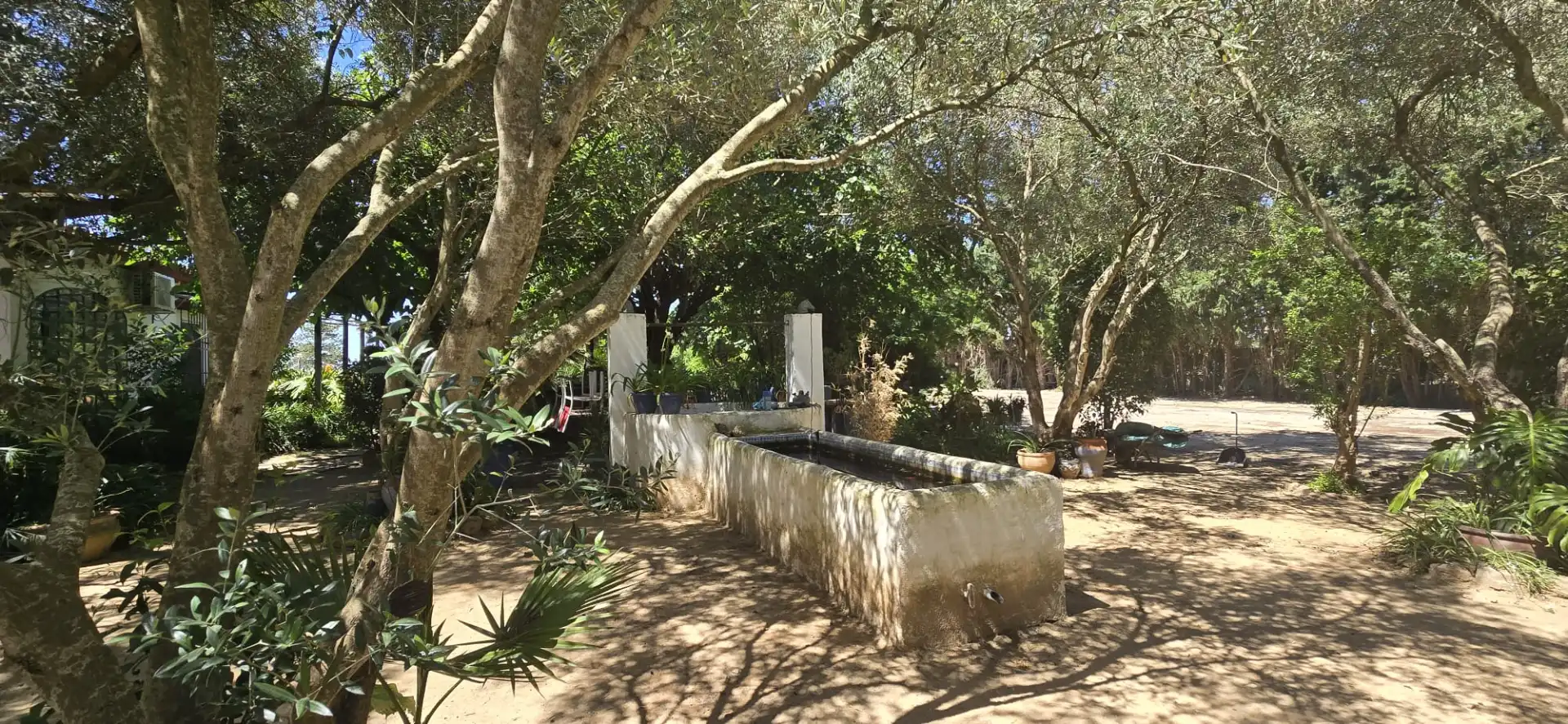 Garden of Houses for rent in Jerez de la Frontera  with Air Conditioner, Private garden and Swimming Pool