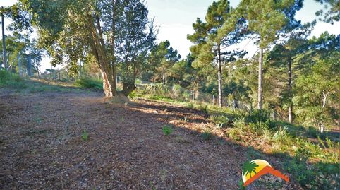 R02059 PARCELA DE 800 M2 EN LA URBANIZACION DE LLORET BLAU, imatge 4