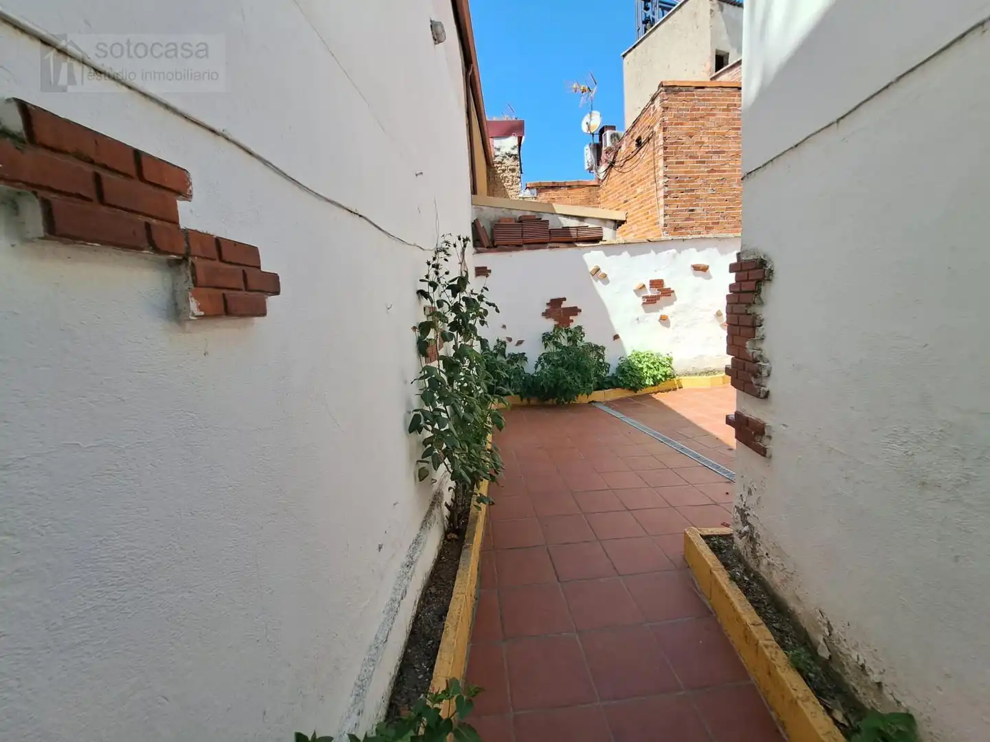 Jardí de Casa o xalet en venda en Valladolid amb Calefacció