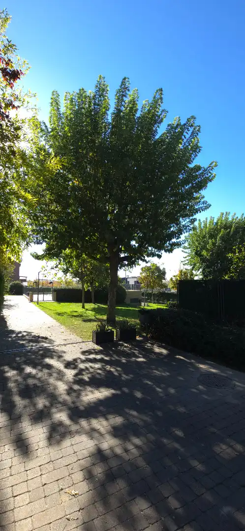 Doppelhaushälfte mit Pool zum Verkauf in Calle de Ibiza, imagen 92