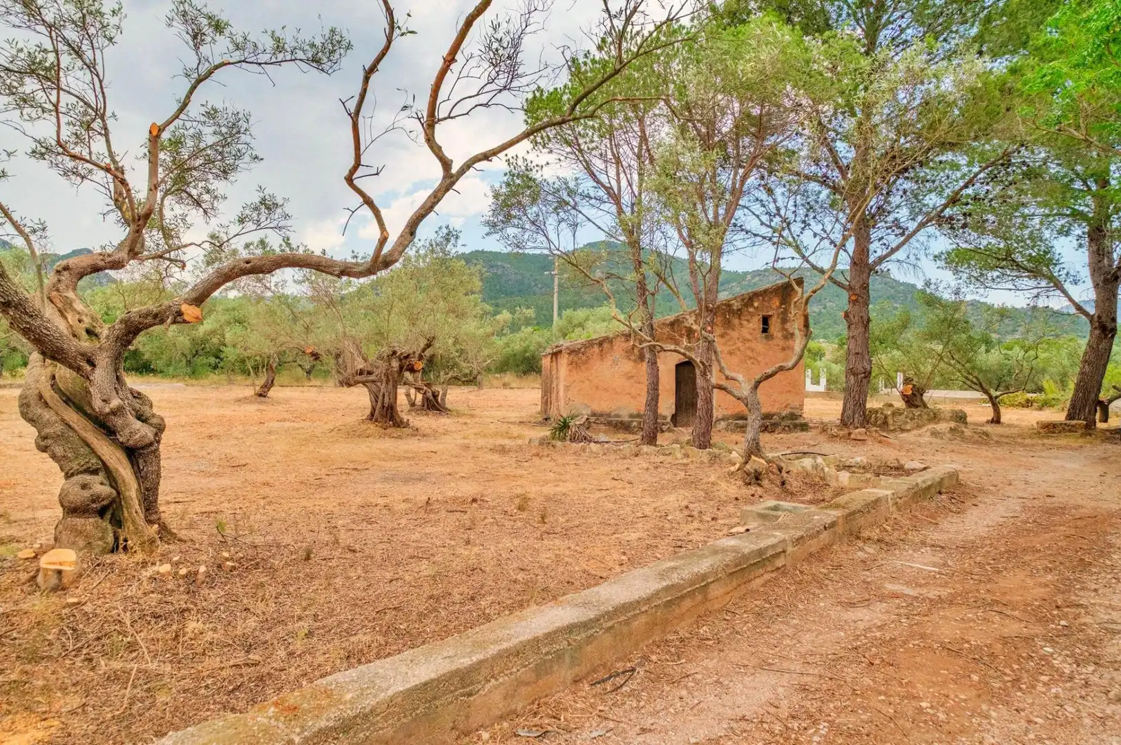 Casa o xalet en venda en Tortosa amb Jardí privat