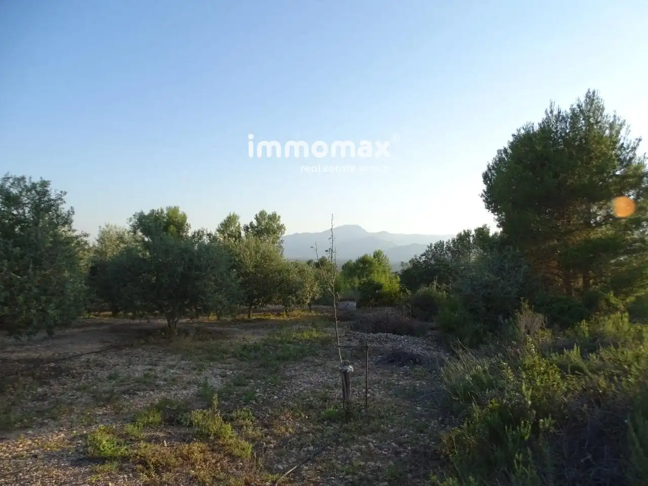 Terrenos y solares en venta en 2, imagen 3
